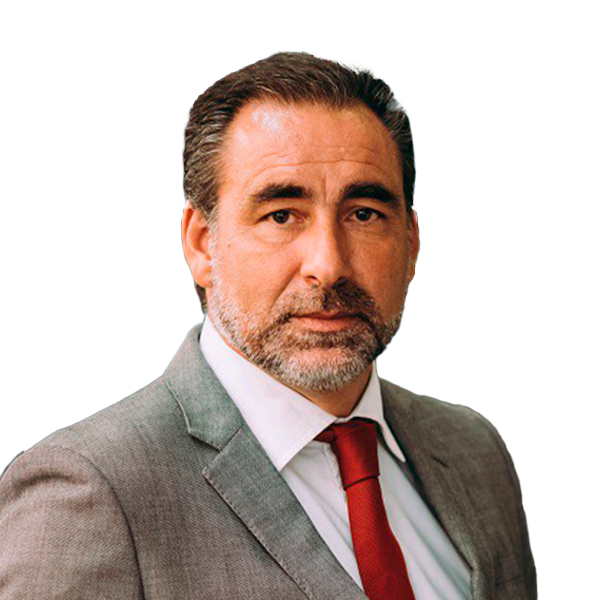 PEDRO AMARAL JORGE